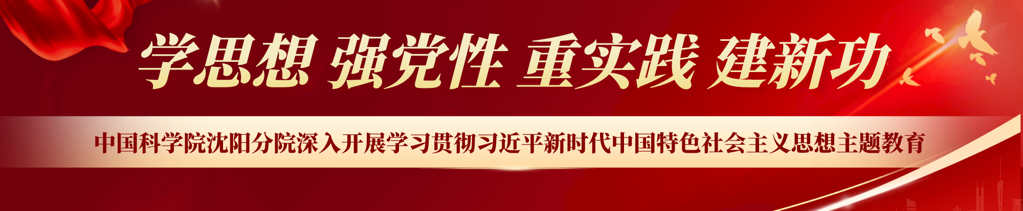 深入開展學(xué)習(xí)貫徹習(xí)近平新時(shí)代中國特色社會主義思想主題教育